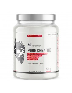 PURE CREATINE 200MESH 500G TWINS VIKING