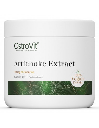 EXTRAIT ARTICHAUD 100G OSTROVIT