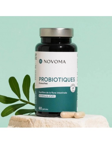 PROBIOTIQUES 60CAPS NOVOMA