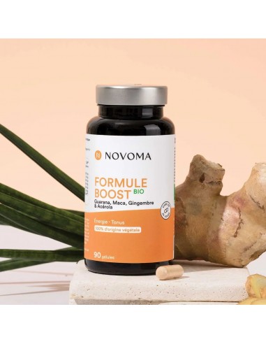 FORMULE BOOST BIO 90CAPS NOVOMA
