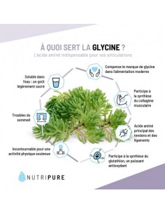 PURE GLYCINE 310G NUTRIPURE 2