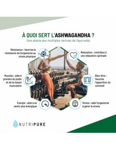 ASHWAGANDHA 60CAPS NUTRIPURE 2